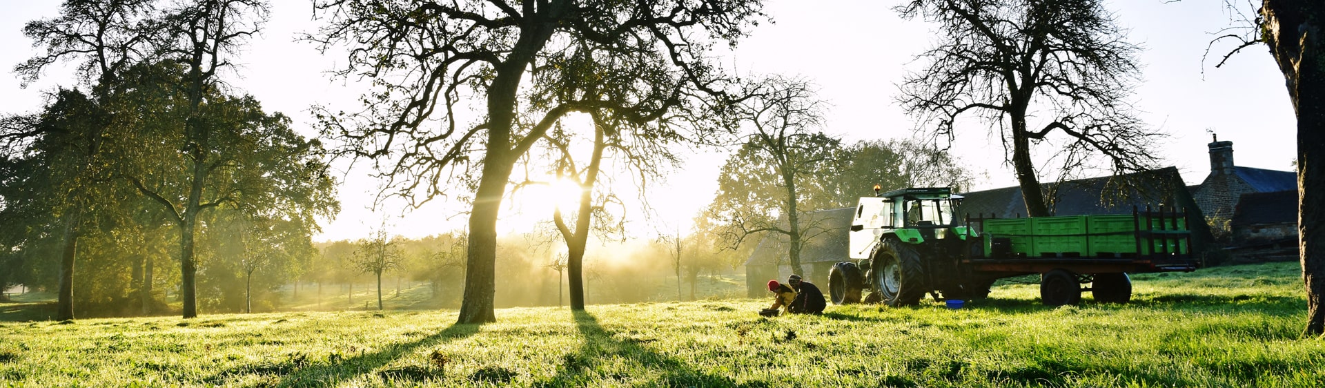 Traktor projíždějící sadem